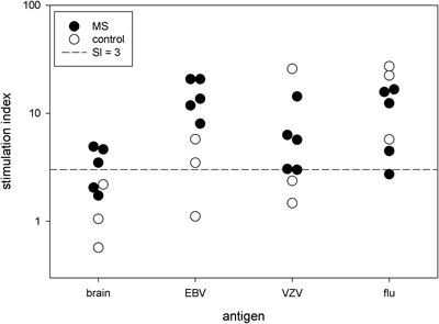 Brain Antigens Stimulate Proliferation of T Lymphocytes With a Pathogenic Phenotype in Multiple Sclerosis Patients